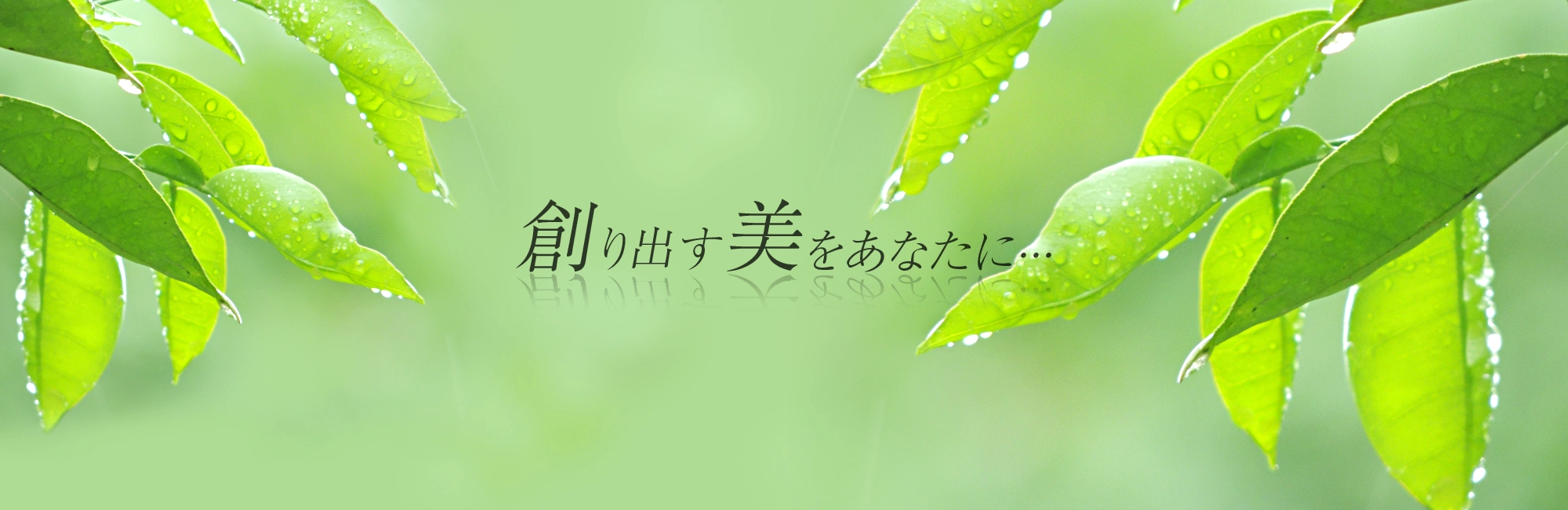 株式会社ヴュンシェ皮膚再生研究所